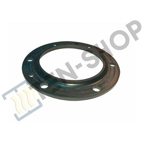 Прокладка ТЭНа для EWH...Comfort (с 01/2003 до 09/2005 г.в.), EWH SL 256247